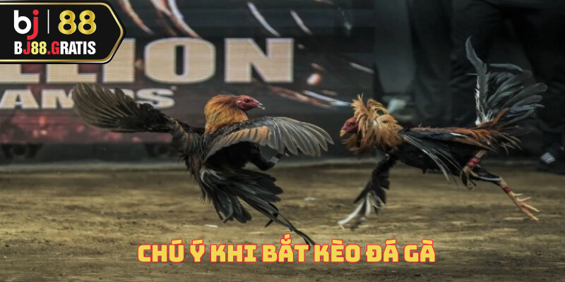 cach-bat-keo-da-ga