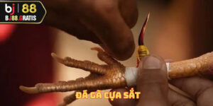 da-ga-cua-sat