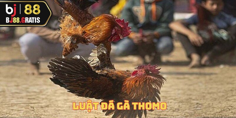 luat-da-ga-thomo