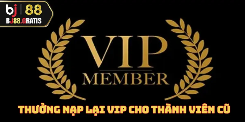 thuong-nap-lai-vip-cho-thanh-vien-cu